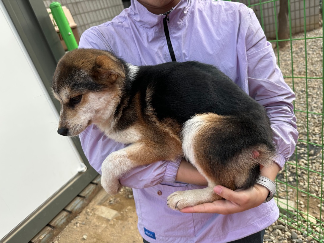 KakaoTalk_20250412_125755322_05.jpg