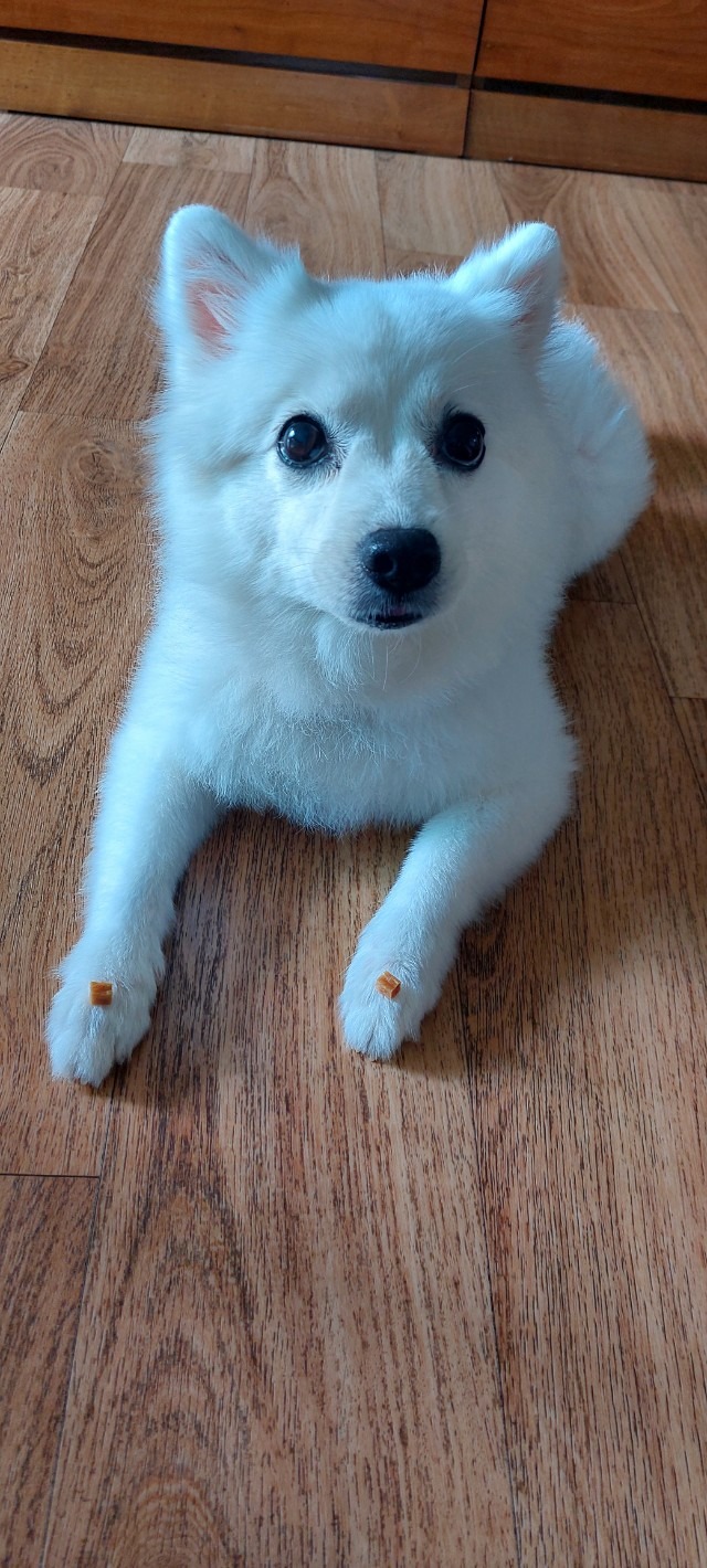 서대문